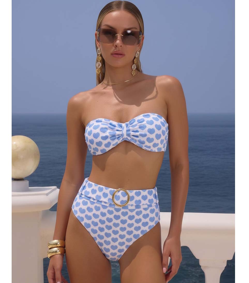 Plus Size Heart Print Bikini Swimsuit and Skirt