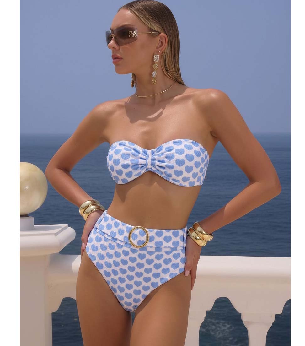 Plus Size Heart Print Bikini Swimsuit and Skirt