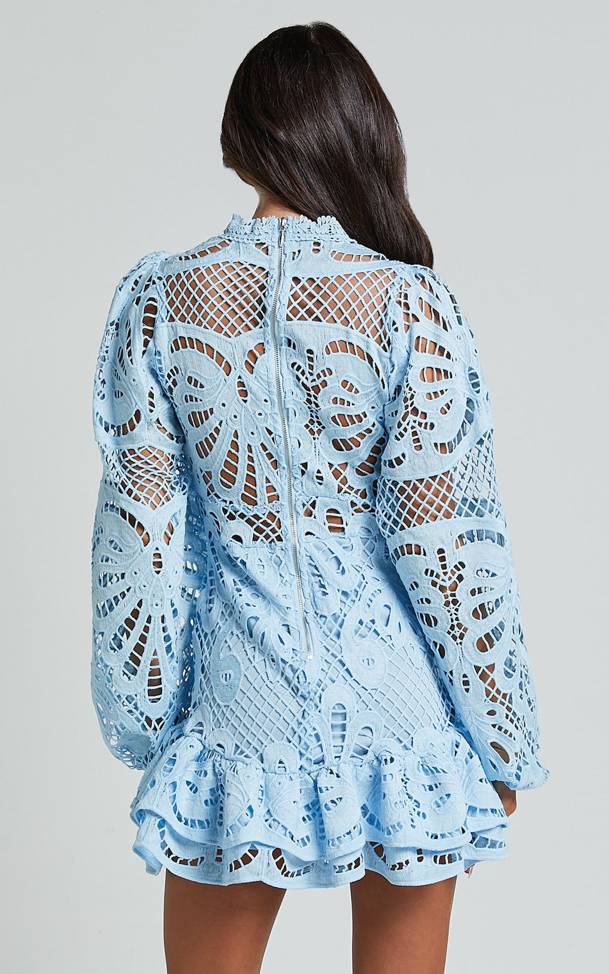 Lantern Long Sleeve Lace Dress