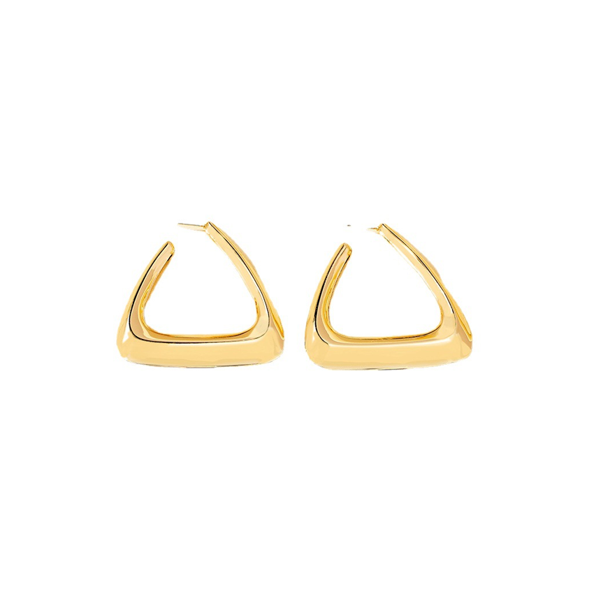 Fashion Earrings