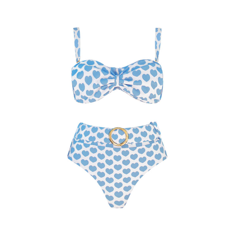 Plus Size Heart Print Bikini Swimsuit and Skirt